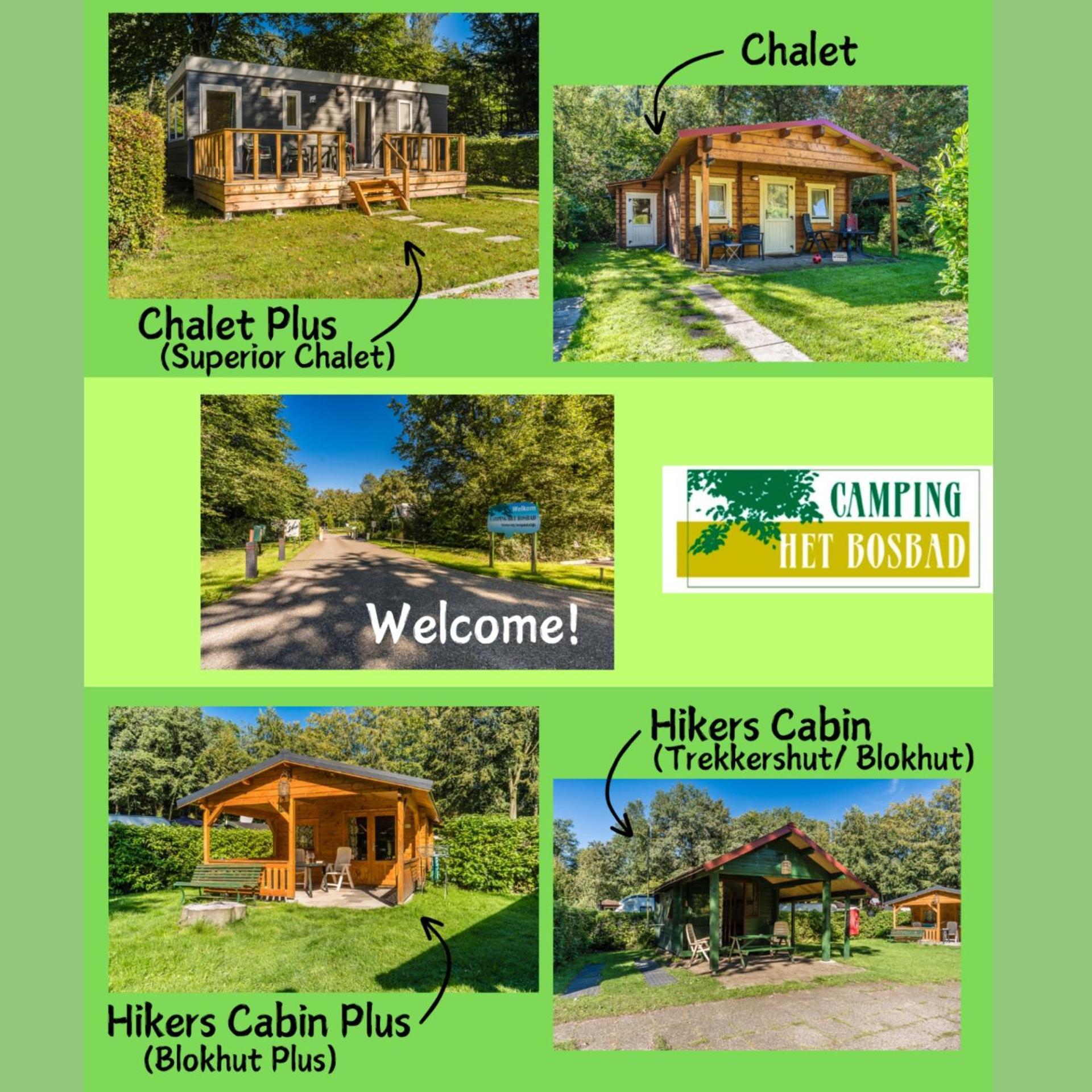 Camping Het Bosbad 埃默洛尔德 外观 照片